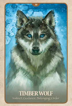 secret-language-of-animals-oracle 1 secret-language-of-animals-oracle 1